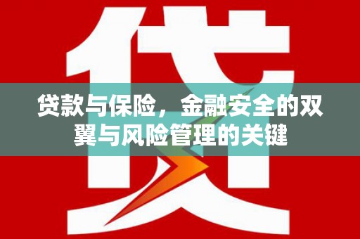 汉阳贷款与保险，金融安全的双翼与风险管理的关键