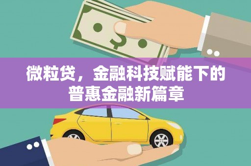 蒙阴微粒贷，金融科技赋能下的普惠金融新篇章