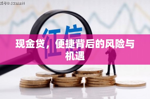 勐腊现金贷，便捷背后的风险与机遇