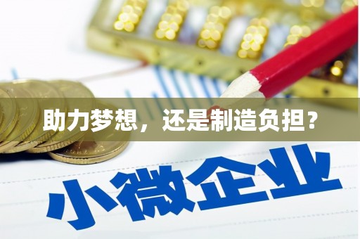 太麻里助力梦想，还是制造负担？