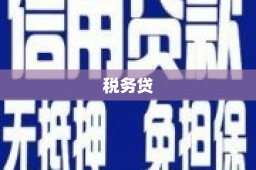 西屿税务贷