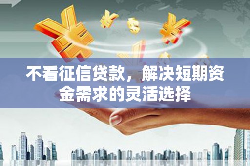 文安不看征信贷款，解决短期资金需求的灵活选择