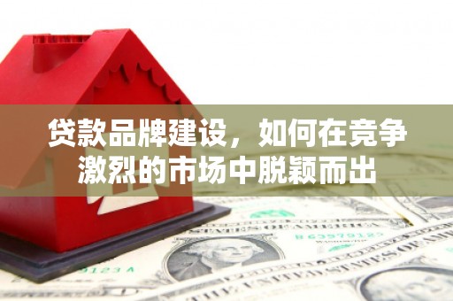 卢氏贷款品牌建设，如何在竞争激烈的市场中脱颖而出