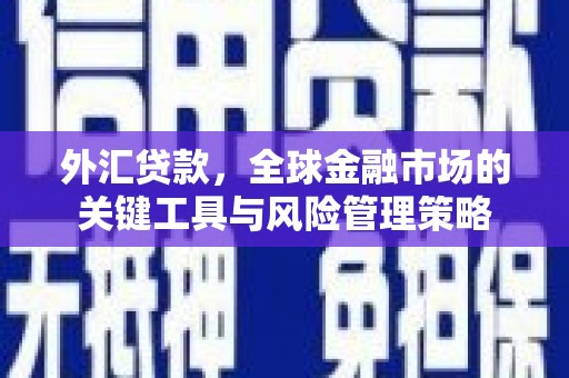 镇康外汇贷款，全球金融市场的关键工具与风险管理策略