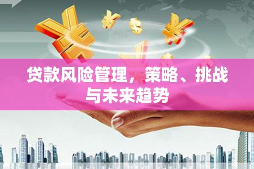 南乐贷款风险管理，策略、挑战与未来趋势