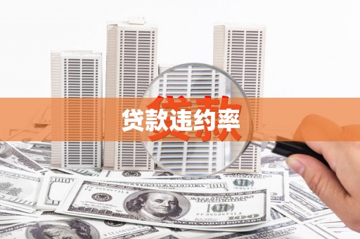 鱼峰贷款违约率