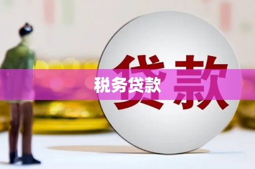 孝感税务贷款