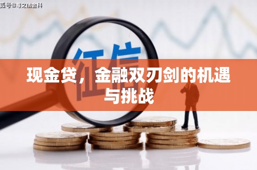 攀枝花现金贷，金融双刃剑的机遇与挑战