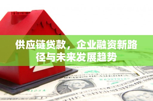 双清供应链贷款，企业融资新路径与未来发展趋势