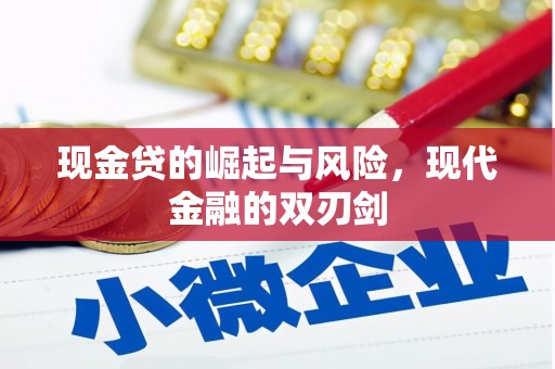 山阴现金贷的崛起与风险，现代金融的双刃剑