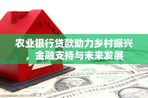 龙游农业银行贷款助力乡村振兴，金融支持与未来发展