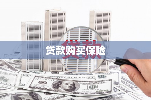 新林贷款购买保险