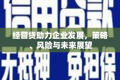 兴宾经营贷助力企业发展，策略、风险与未来展望