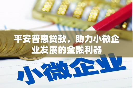 梧栖平安普惠贷款，助力小微企业发展的金融利器