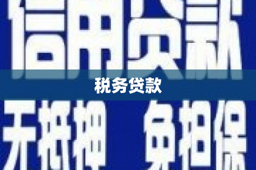 临翔税务贷款