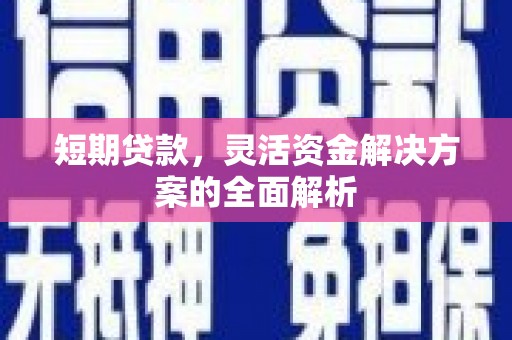 大兴安岭短期贷款，灵活资金解决方案的全面解析
