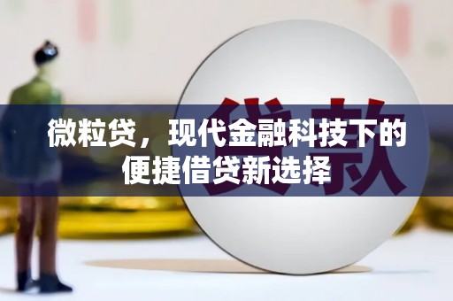 乌恰微粒贷，现代金融科技下的便捷借贷新选择