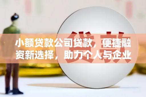 新营小额贷款公司贷款，便捷融资新选择，助力个人与企业成长