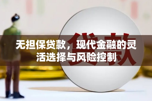 巍山无担保贷款，现代金融的灵活选择与风险控制
