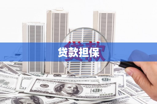 卑南贷款担保