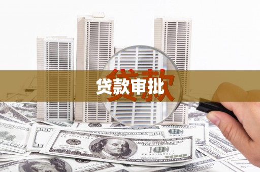 新园贷款审批