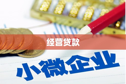 稻城经营贷款