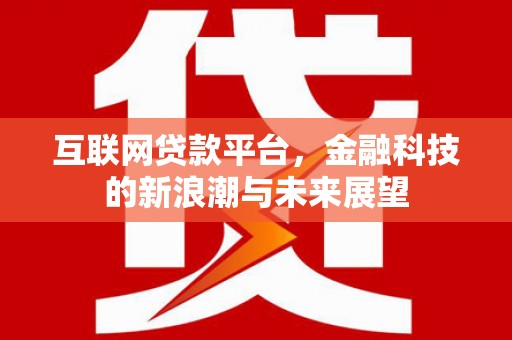 横山互联网贷款平台，金融科技的新浪潮与未来展望