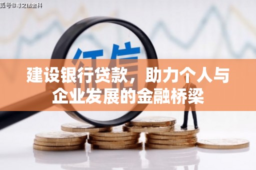 云岩建设银行贷款，助力个人与企业发展的金融桥梁