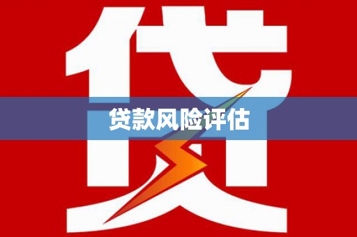 晋安贷款风险评估