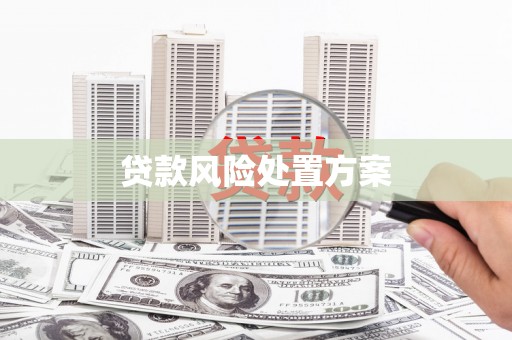 户县贷款风险处置方案