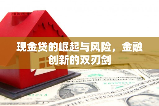 宁晋现金贷的崛起与风险，金融创新的双刃剑