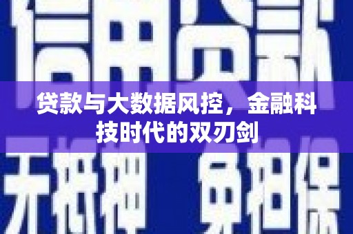 大冶贷款与大数据风控，金融科技时代的双刃剑