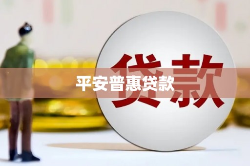 西平平安普惠贷款