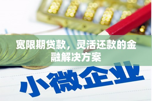 荔湾宽限期贷款，灵活还款的金融解决方案
