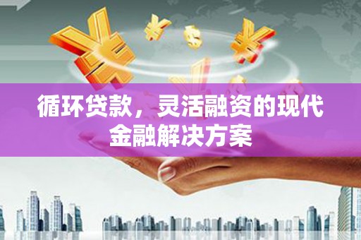 镇雄循环贷款，灵活融资的现代金融解决方案