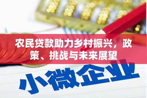 海丰农民贷款助力乡村振兴，政策、挑战与未来展望