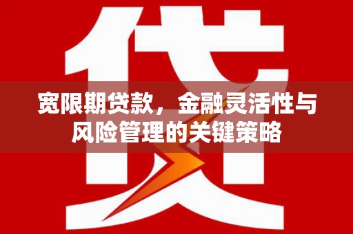 西昌宽限期贷款，金融灵活性与风险管理的关键策略