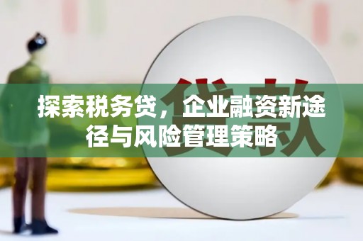 西峡探索税务贷，企业融资新途径与风险管理策略