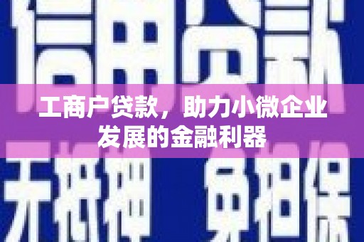 泌阳工商户贷款，助力小微企业发展的金融利器