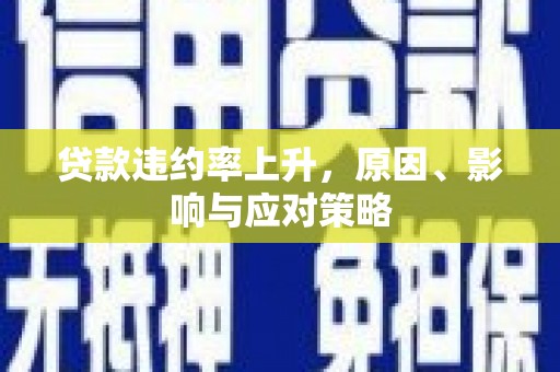 金阳贷款违约率上升，原因、影响与应对策略