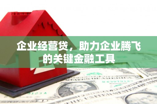 胶州企业经营贷，助力企业腾飞的关键金融工具