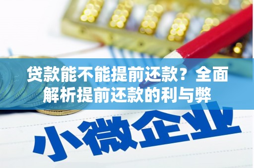 海端贷款能不能提前还款？全面解析提前还款的利与弊