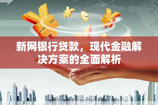 盘县新网银行贷款，现代金融解决方案的全面解析
