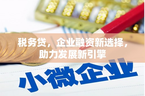 陵城税务贷，企业融资新选择，助力发展新引擎