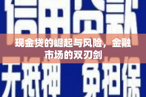 盐埕现金贷的崛起与风险，金融市场的双刃剑