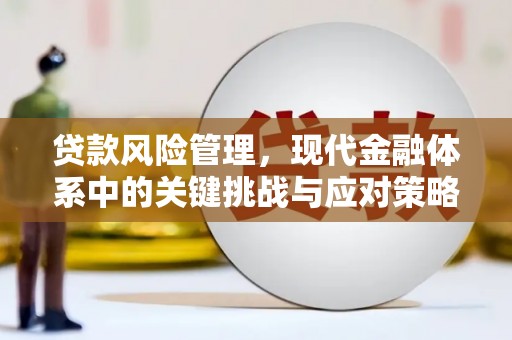 遂昌贷款风险管理，现代金融体系中的关键挑战与应对策略