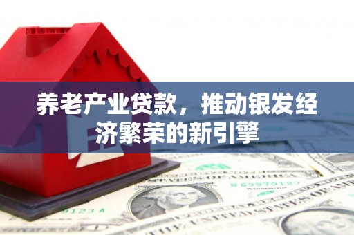 汉滨养老产业贷款，推动银发经济繁荣的新引擎