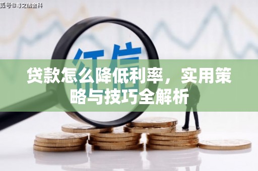 驿城贷款怎么降低利率，实用策略与技巧全解析