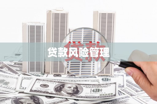 霍林郭勒贷款风险管理