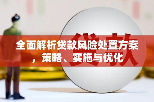 盐亭全面解析贷款风险处置方案，策略、实施与优化